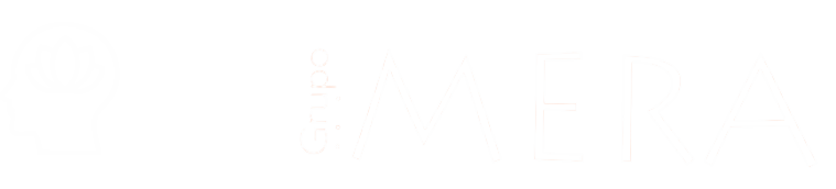 MERA Loop